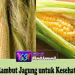 Manfaat Rambut Jagung untuk Kesehatan Tubuh