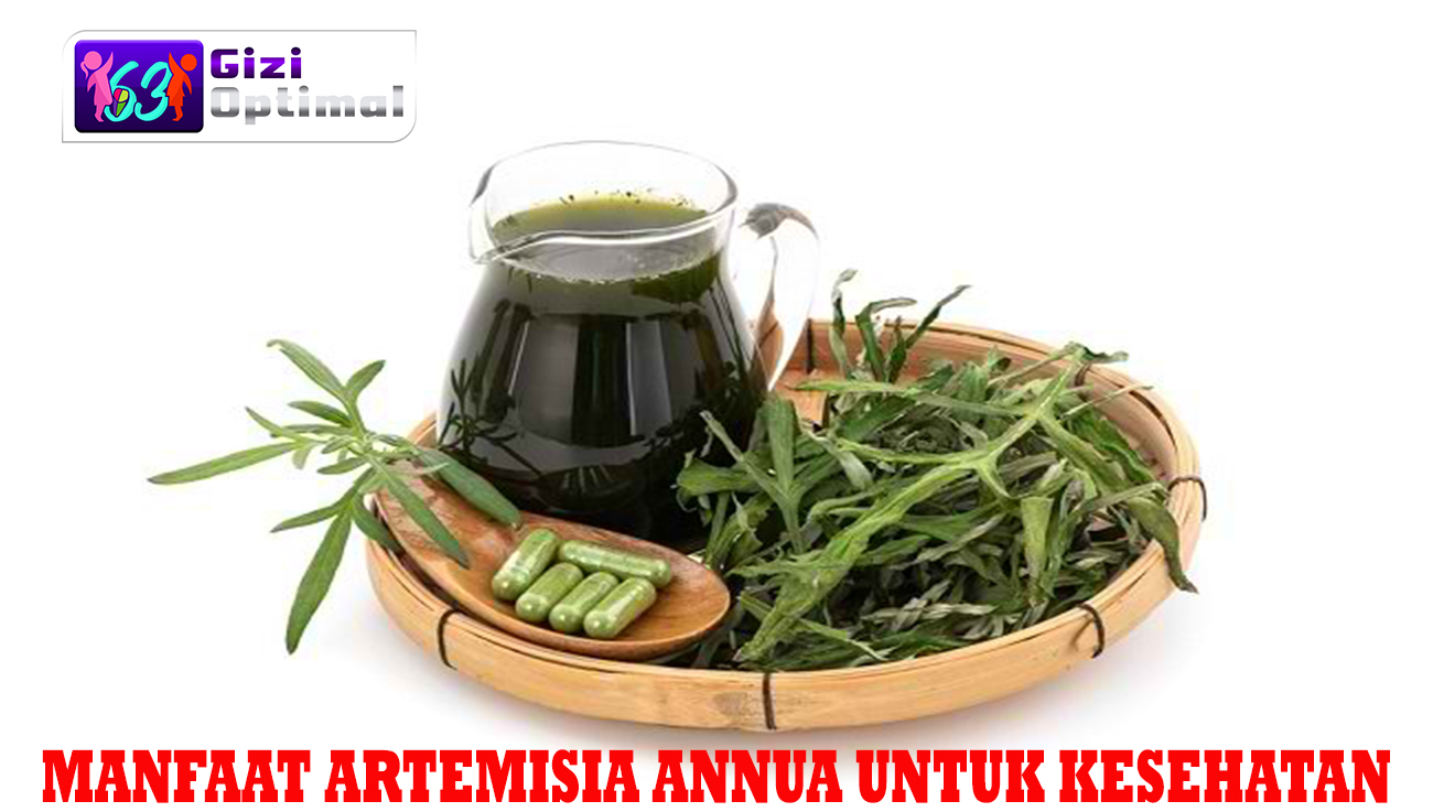 Manfaat Artemisia annua untuk Kesehatan
