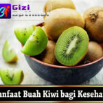 Manfaat Buah Kiwi bagi Kesehatan