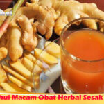 Ketahui Macam Obat Herbal Sesak Napas