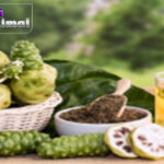 Hiperlipidemia dan Produk Herbal yang Membantu Mengatasinya